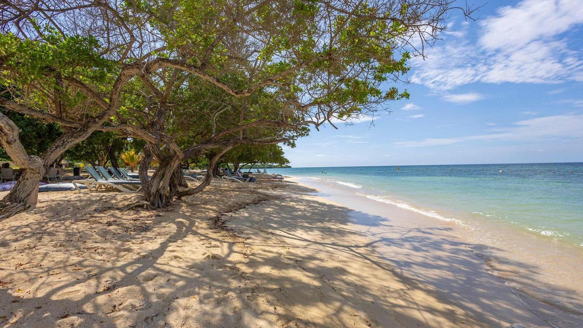 Apartamento Caribbean Sea Views 3br Penthouse F1